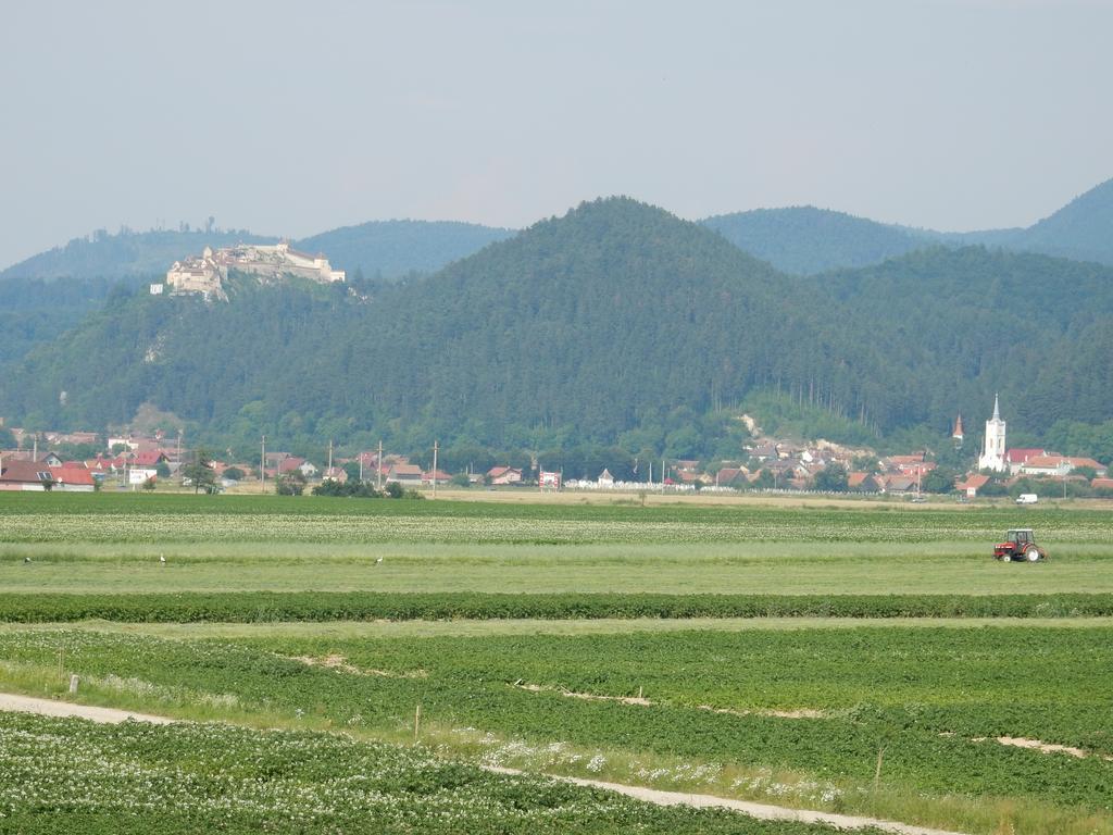 Pensiunea Cetatea Craiului Rîşnov 외부 사진